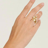 the-begin-again-ring-rings-02