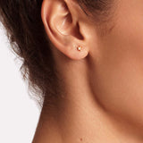 Diamond Star - Ohrstecker - 585 Gold