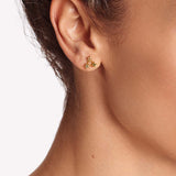 Rainbow Star - Ohrstecker - 585 Gold