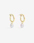Lucy - Pearl Earrings - 14ct Gold–Plated