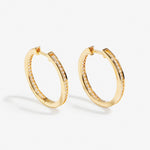 Kylee Hoops Maxi  – Ohrringe – 18kt vergoldet