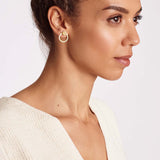 Diamond Back - Creolen - 585 Gold